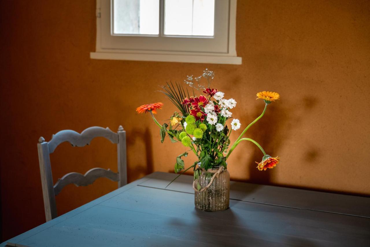 Suite Campagnarde Pres Bordeaux, Vue Sur Les Vignes Au Chateau Camponac Bourg-sur-Gironde Екстериор снимка