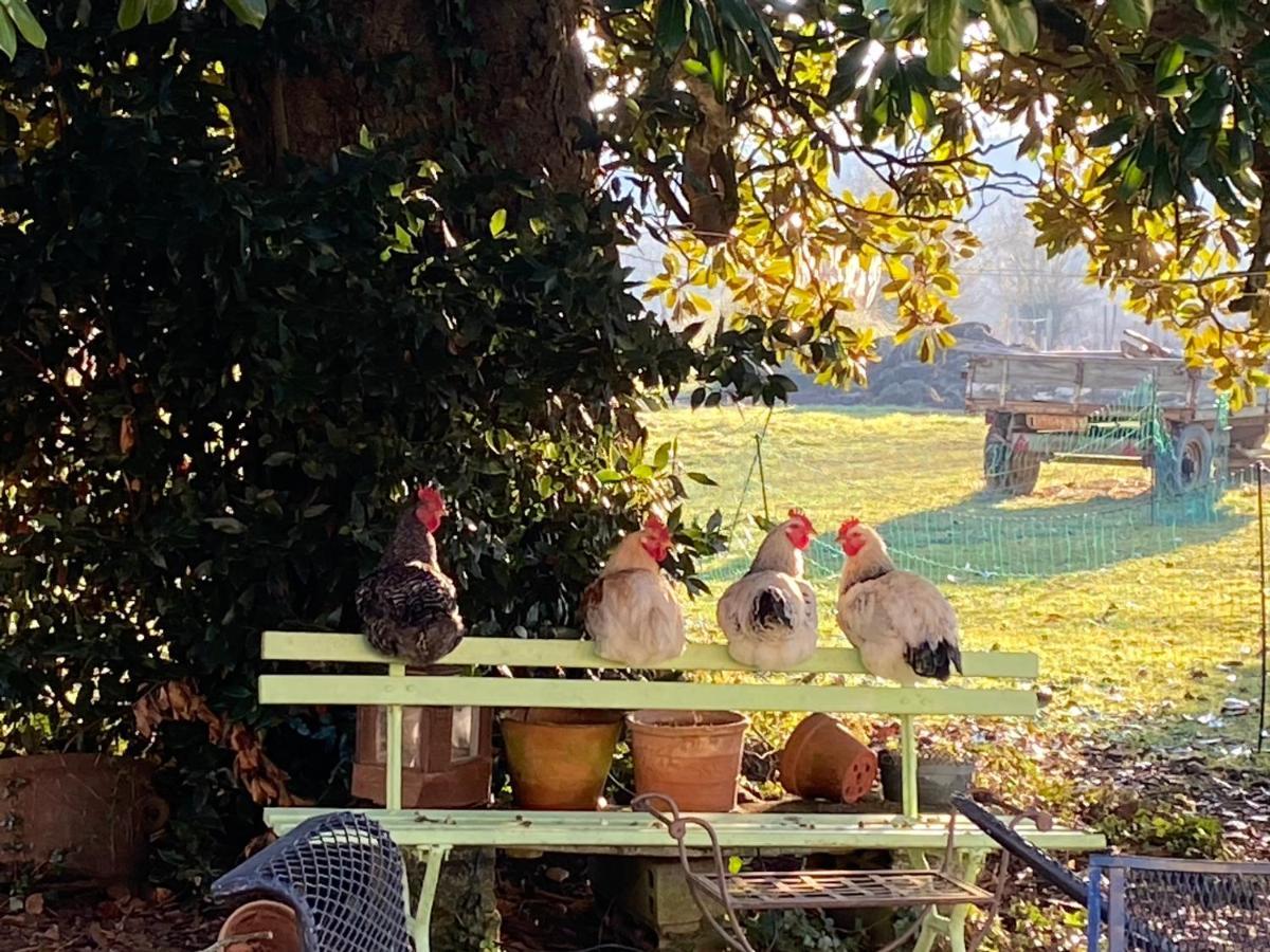 Suite Campagnarde Pres Bordeaux, Vue Sur Les Vignes Au Chateau Camponac Bourg-sur-Gironde Екстериор снимка